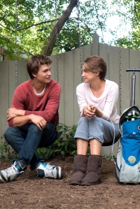 A Fault In Our Stars